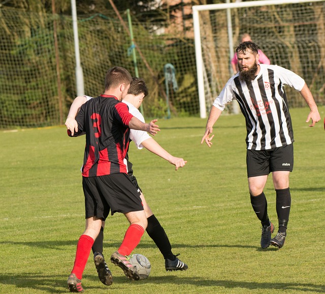 奧利斯的組 奧利斯的組