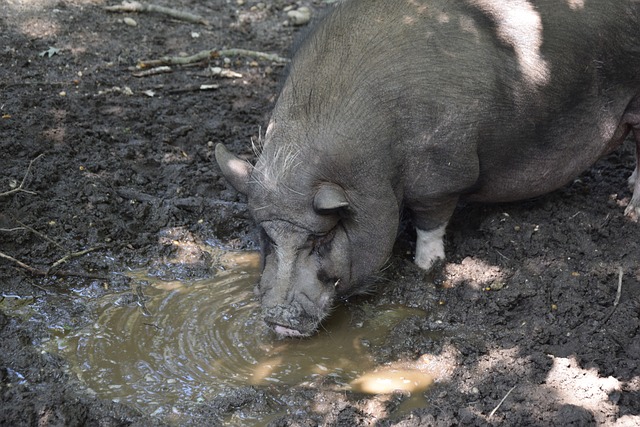 转化为足够 转化为足够