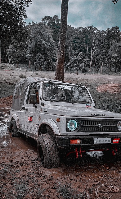 的精彩一幕 的精彩一幕