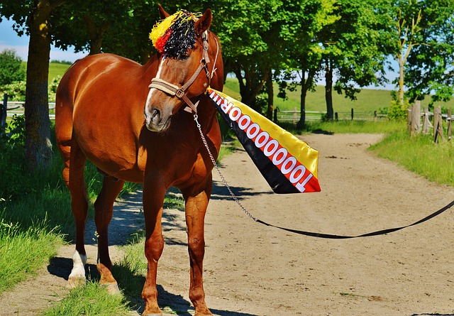 00萬歐元 00萬歐元